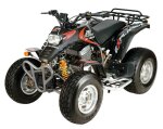Explorer Stinger 250 mit Rückwärtsgang