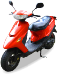 Rex Rexy 50