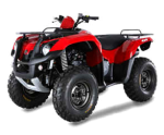 SYM Quad Raider 600 (UA60A-6)