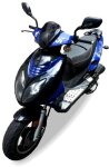 Rex RS 1000