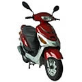 Jackfox City Star (YY50QT)