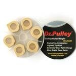 Dr. Pulley Variomatik Gewichte