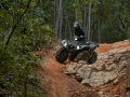 YAMAHA Grizzly 700 EPS inkl. LOF-Umbau