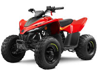CFMOTO CForce 110 Kinderquad