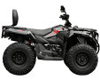 Loncin XWolf 300L L7e