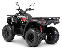 Loncin XWolf 200 T3b