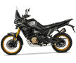 Voge DS 800X Rally