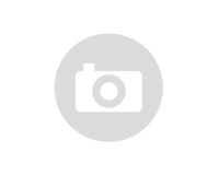 Reifen Deestone D805 130/70-12 62P TL